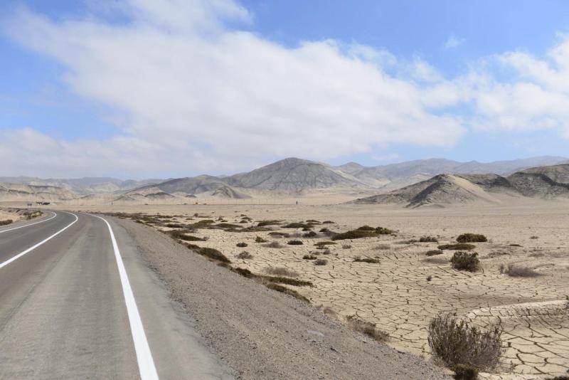 pan_de_azucar_0004