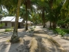 penuba_0091