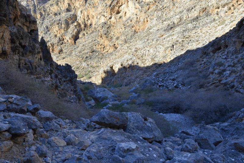 kreta_2024_perivolakia_schlucht_019