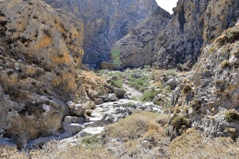 kreta_2024_perivolakia_schlucht_023