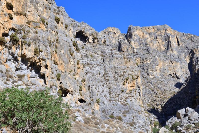 kreta_2024_perivolakia_schlucht_025