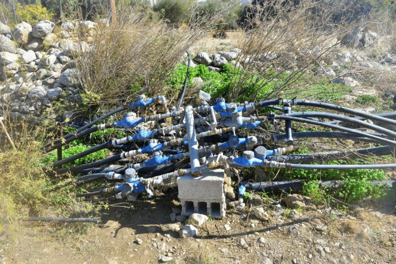 kreta_2024_perivolakia_schlucht_037
