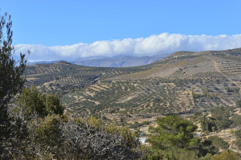 kreta_2024_perivolakia_schlucht_047