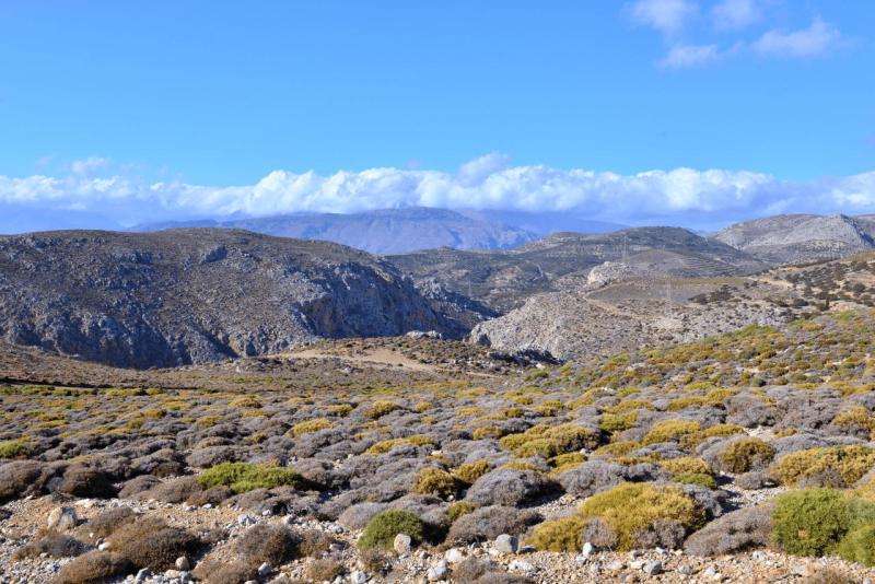 kreta_2024_perivolakia_schlucht_051