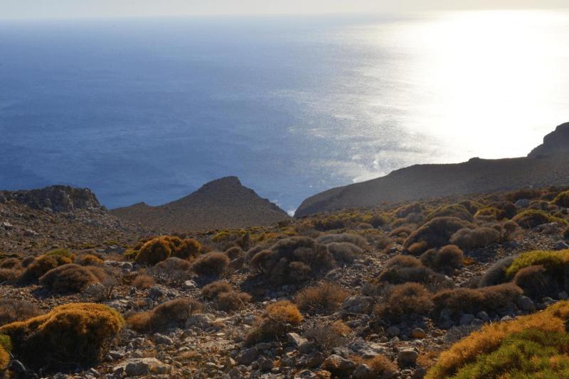 kreta_2024_perivolakia_schlucht_059