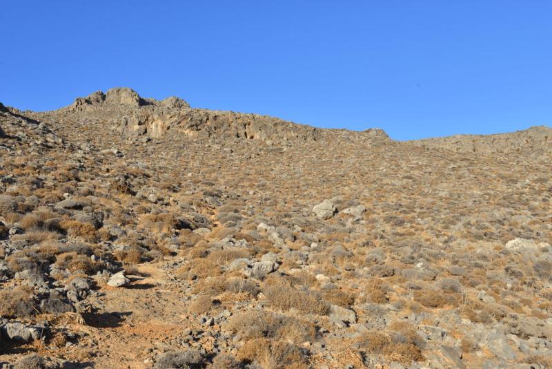 kreta_2024_perivolakia_schlucht_063
