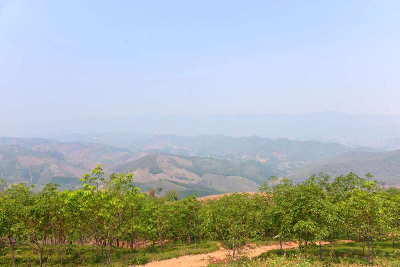 phu_chi_fa_0021