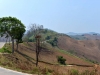 phu_chi_fa_0026