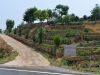 phu_chi_fa_0031