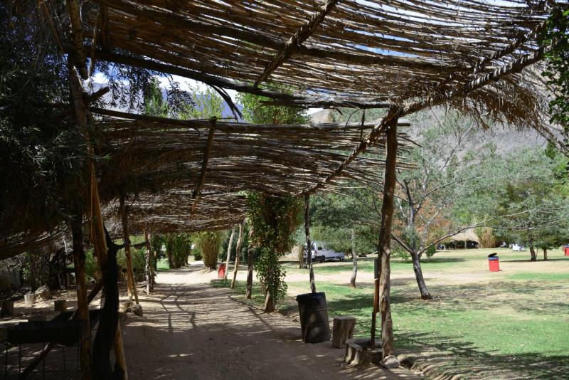 pisco_elqui_0003