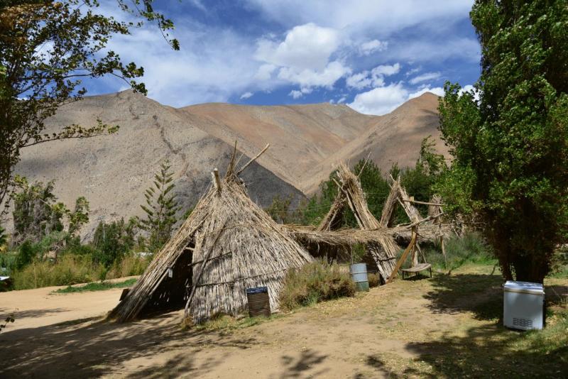pisco_elqui_0004