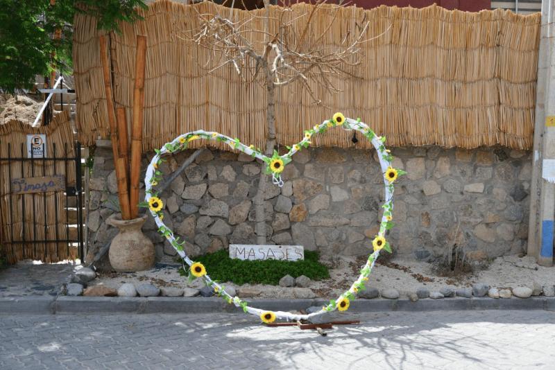 pisco_elqui_0005