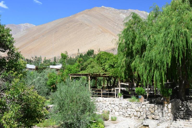 pisco_elqui_0006