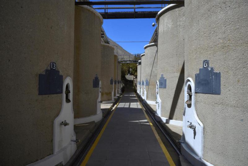 pisco_elqui_0007