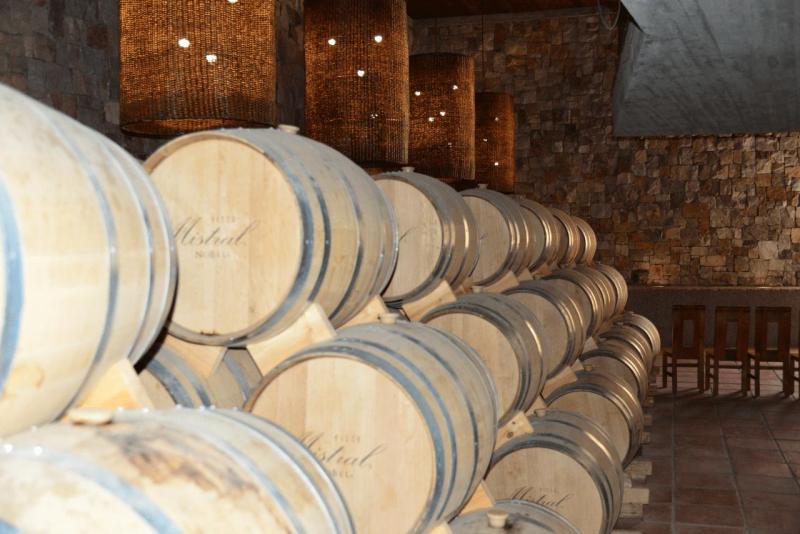 pisco_elqui_0014