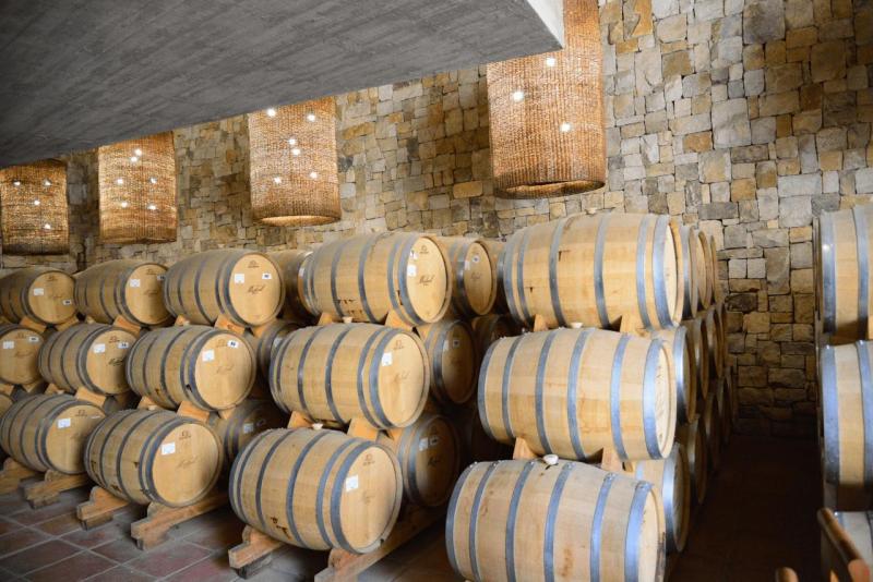 pisco_elqui_0015