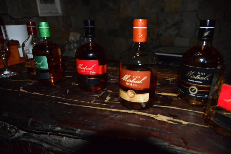 pisco_elqui_0016