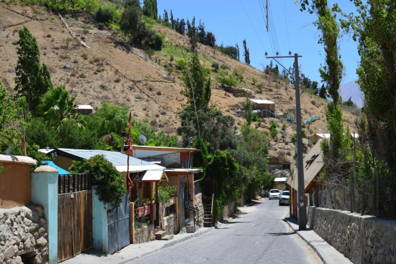 pisco_elqui_0017