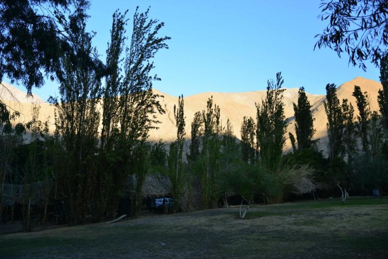 pisco_elqui_0019