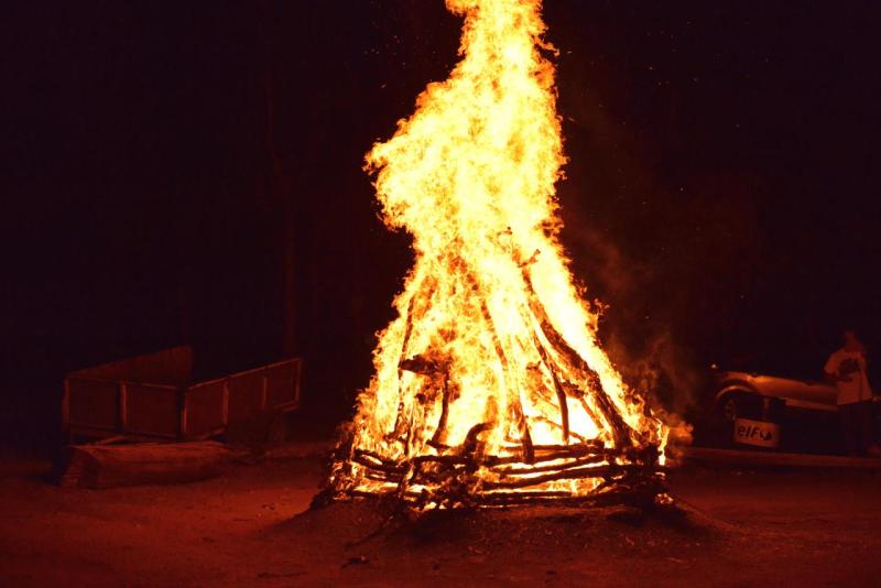 pisco_elqui_0022