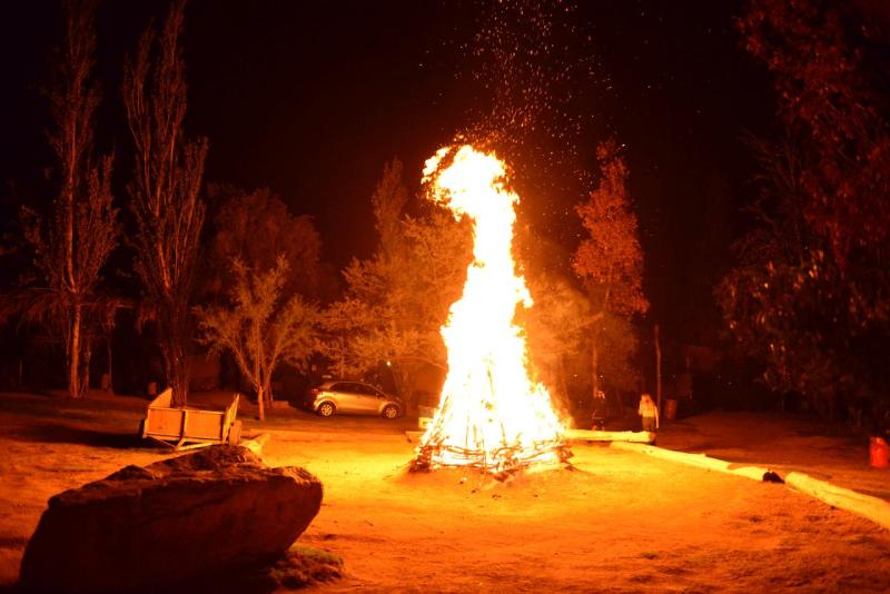 pisco_elqui_0024