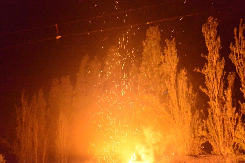 pisco_elqui_0029