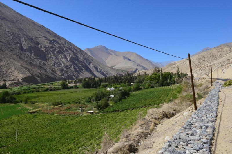 pisco_elqui_0031