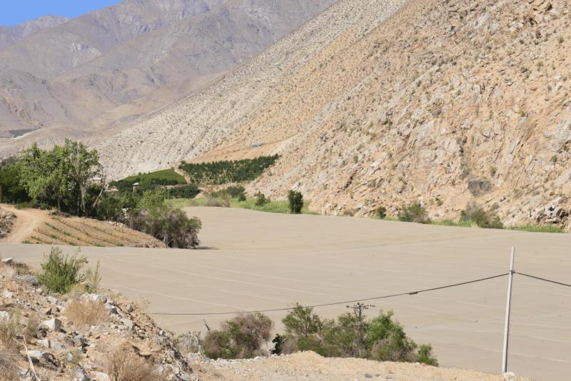 pisco_elqui_0035