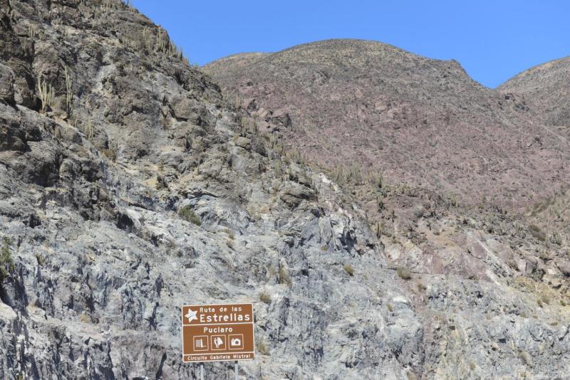 pisco_elqui_0039