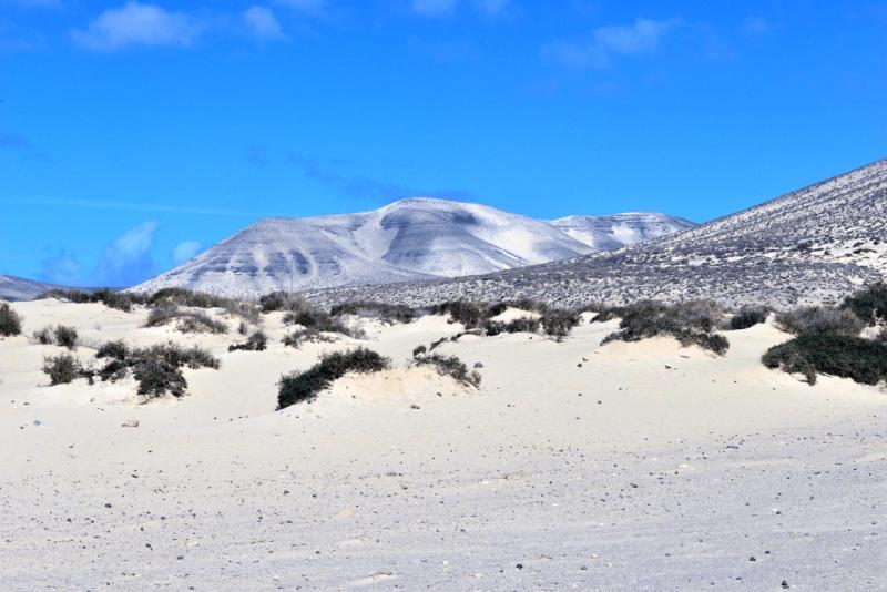 fuerteventura_playa_de_sotavento_de_jandia_010