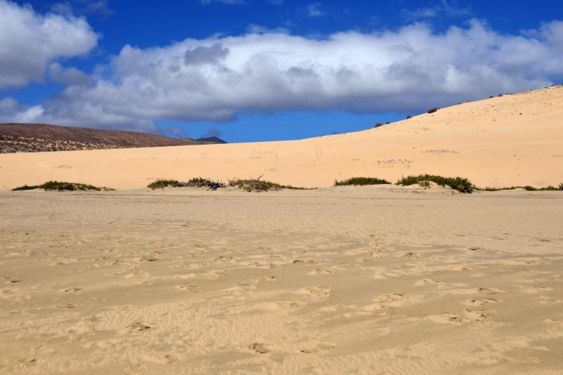 fuerteventura_playa_de_sotavento_de_jandia_012