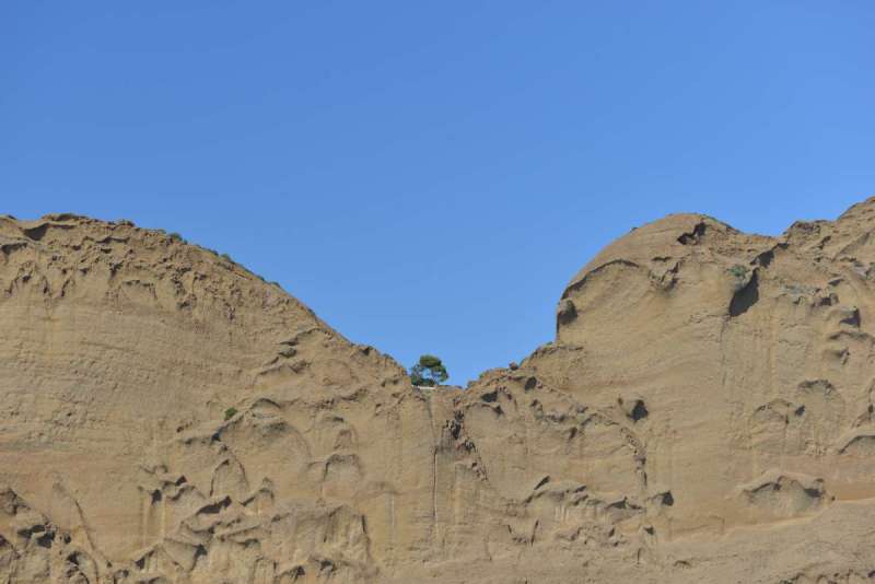 port_miou_cassis_0016