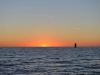 port_miou_cassis_0001