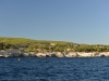 port_miou_cassis_0026