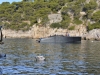 port_miou_cassis_0051
