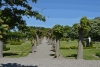 stormvogel_probefahrt_0011