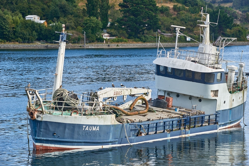 puerto_montt_028