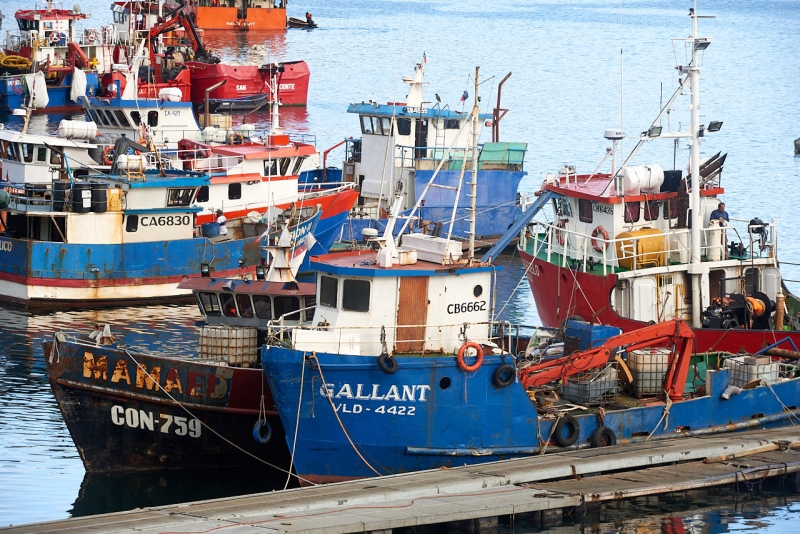 puerto_montt_029