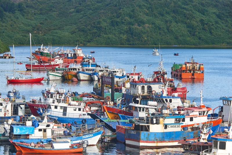 puerto_montt_031