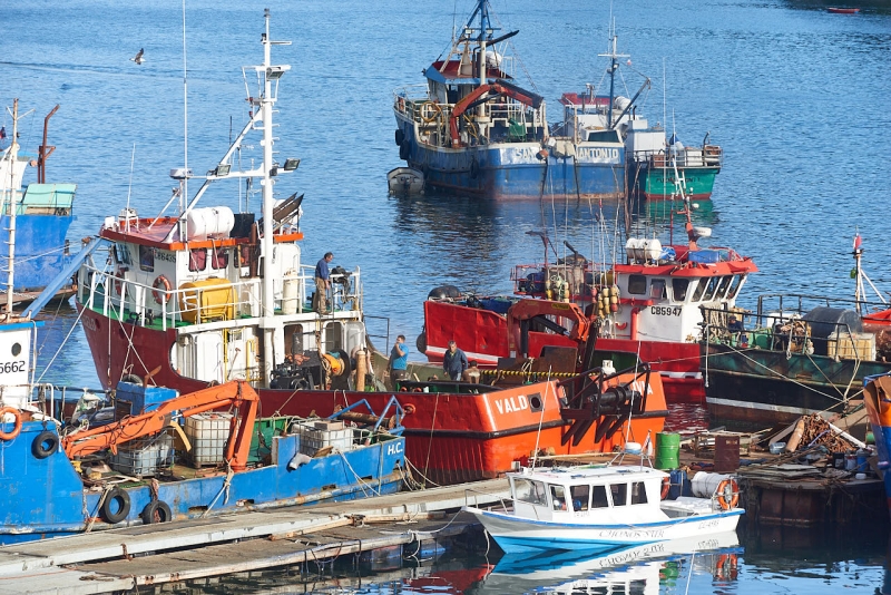 puerto_montt_033