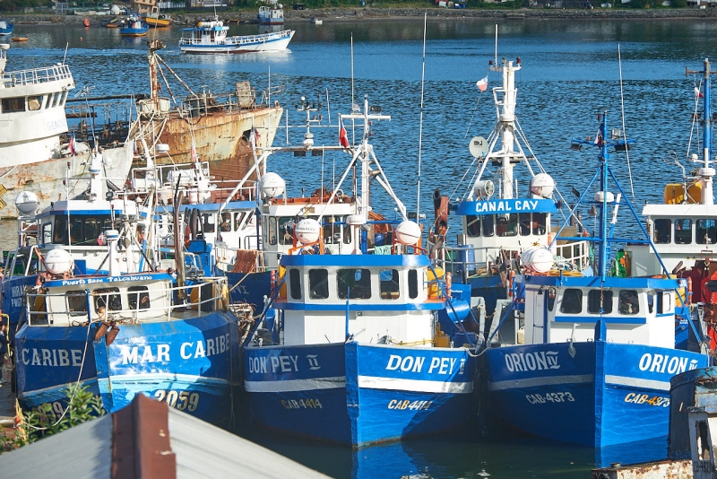 puerto_montt_037