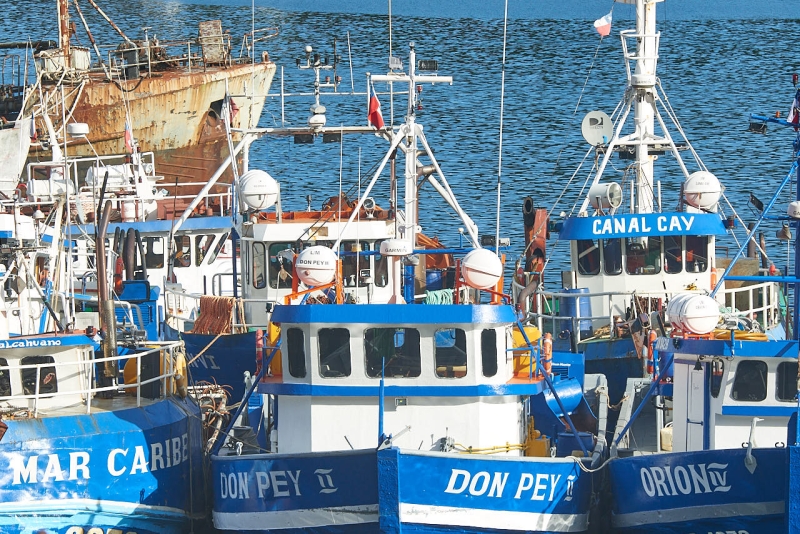 puerto_montt_038
