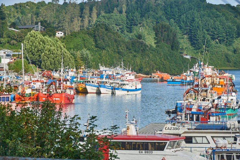 puerto_montt_039