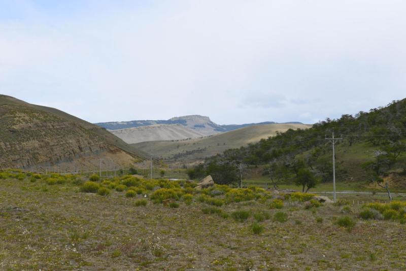 puerto_natales_003