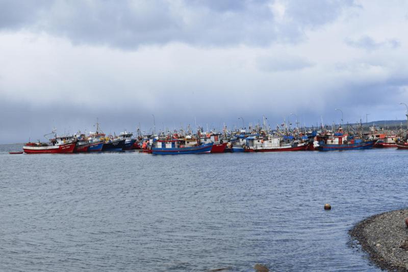 puerto_natales_009