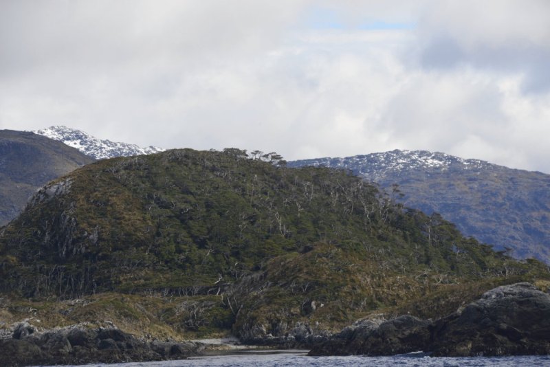 puerto_williams_023