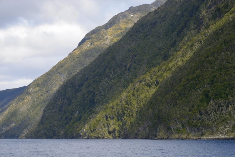 puerto_williams_037