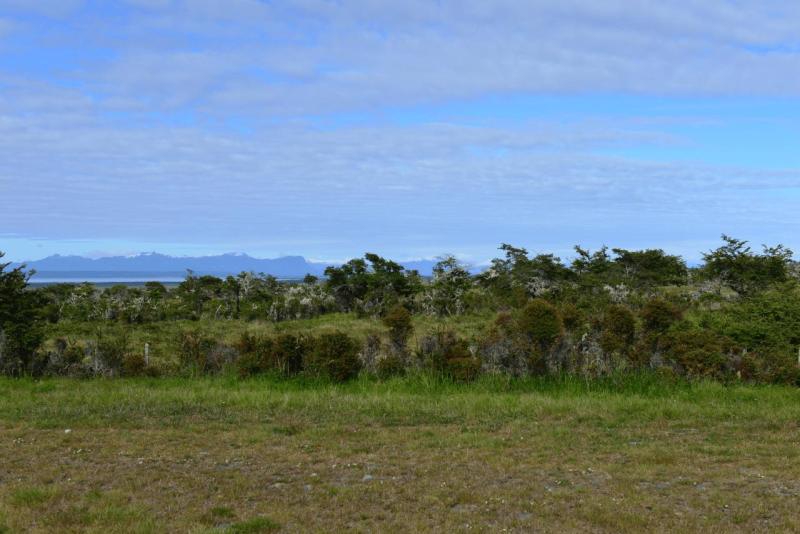 punta_arenas_001