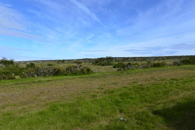 punta_arenas_002