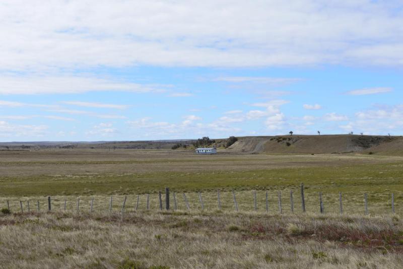 punta_arenas_004